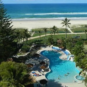 Royal Palm On The Palm Beach